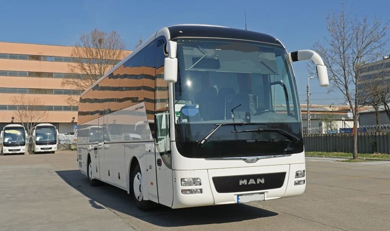 Buses operator in Nova Gorica